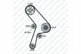 pasek-wzdl-dayco-profil-paska-wielorowkowy