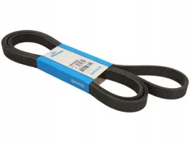 dayco-7dpk2569-pasek-klinowy-wielorowkowy