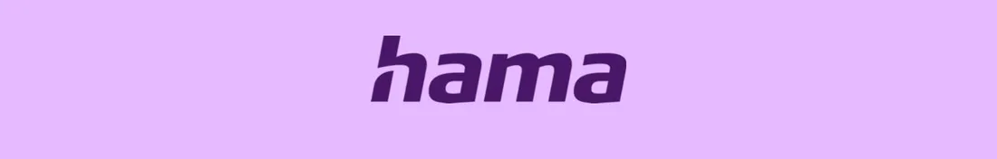 ladowarka-sieciowa-hama-002019940000