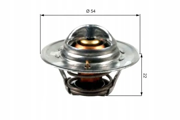 termostat-gates-waga-produktu-1-kg