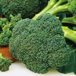brokul-calabrese-natalino-nasiona-warzyw-zdrowy-odporny