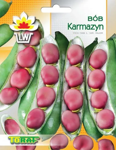 nasiona-warzyw-bob-karmazyn-toraf-cykl-rozwojowy-rosliny-jednoroczna
