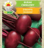 nasiona-warzyw-burak-cwiklowy-d-egypte-toraf-rodzaj-rosliny-burak-cykl-rozwojowy-rosliny-jednoroczna
