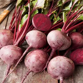 burak-cwiklowy-czerwona-kula-nasiona-buraka-burakow-soczysty-smaczny-plenny