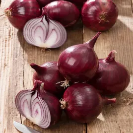 cebula-czerwona-karmen-nasiona-cebuli-warzyw-smaczna-plenna-odmiana