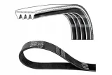 pasek-wzdl-dayco-numer-katalogowy-oryginalu-bmw-11287785212-bmw-7785212-case-ih-87300105-chevrolet-25182778-chevrolet-96416336-daewoo-25182778-daewoo-96416336-isuzu-8943821060-mitsubishi-md363022