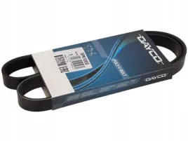 dayco-5pk1000-pasek-klinowy-wielorowkowy