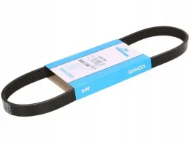 dayco-5pk768-pasek-klinowy-wielorowkowy