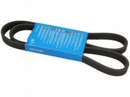 dayco-6dpk1352-pasek-klinowy-wielorowkowy