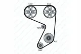 pasek-wzdl-dayco-profil-paska-wielorowkowy
