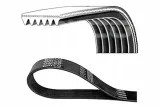pasek-wzdl-opel-dayco-dayco-6pk1530-dayco-numer-katalogowy-oryginalu-bmw-11287512565-opel-1340618-opel-1340643-opel-6340635-opel-90444422-opel-91126381-opel-91149489-opel-9118613-opel-9129464-opel-9226258-opel-9226258aa-opel-93181714-opel-93181715-vauxhall-1340618-vauxhall-1340643-vauxhall-90444422-vauxhall-91126381-vauxhall-9118613-vauxhall-93181715-volvo-866653
