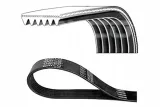 pasek-wielorowkowy-dayco-dayco-6pk2203-dayco-typ-silnika-benzyna-diesel