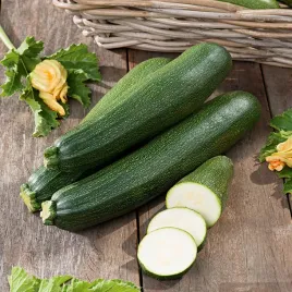 cukinia-kabaczek-nefertiti-obfite-plony-nasiona-cukini-warzyw