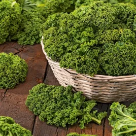 jarmuz-niski-kapral-zielone-liscie-nasiona-odporny-na-mrozy-plenny