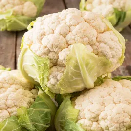 kalafior-early-snowball-x-bialy-wczesny-kalafiory-nasiona-kalafiora