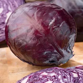 kapusta-glowiasta-czerwona-mars-srednio-wczesna-nasiona-kapusty