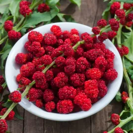 komosa-rozgowa-strawberry-sticks-nasiona-warzyw-smaczne-zdrowe-plenne