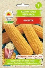 kukurydza-pekajaca-plomyk-20g-nasiona-warzyw