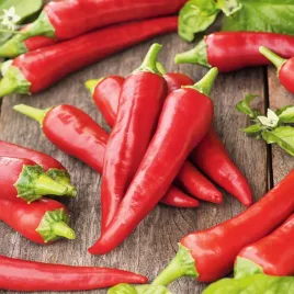 papryka-de-cayenne-ostra-typu-chili-nasiona-papryki-warzyw-plenna-odmiana