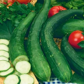 ogorek-chinese-slangen-salatkowy-gruntowy-ogorki-nasiona-ogorkow