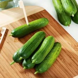 ogorek-delicius-gruntowy-salatkowy-srednio-wczesny-nasiona-ogorkow-warzyw