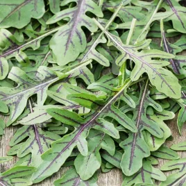 rukola-dzika-wieloletnia-nasiona-rukoli-zdrowe-smaczne-plenne