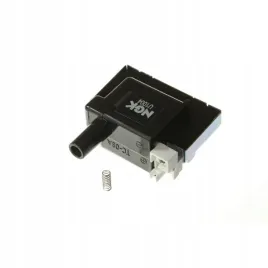 cewka-zaplonowa-ngk-48054