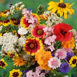 mieszanka-bylinowa-long-life-100g-nasiona-kwiatow-mix-odmian-bylin