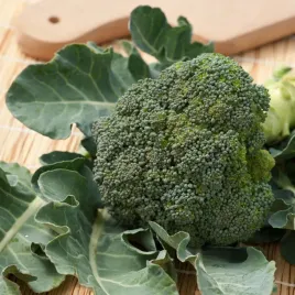 brokul-limba-wczesny-niskokaloryczny-duza-ilosc-witamin-nasiona-warzyw