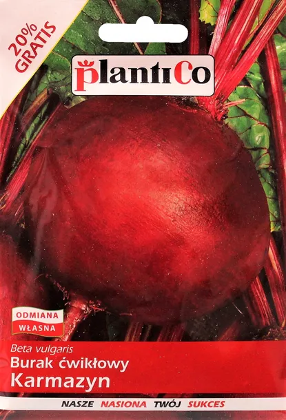 burak-cwiklowy-karmazyn-styl-ogrod-wiejski