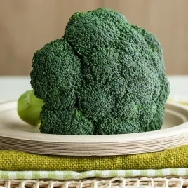 brokul-sebastian-wczesny-do-uprawy-wiosennej-i-jesiennej-nasiona-warzyw