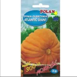 dynia-olbrzymia-atlantic-giant-kolor-kwiatow-biale-czarne-czerwone-fioletowe-niebieskie-pomaranczowe-roznobarwne-rozowe-zolte