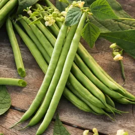 fasola-zwykla-karlowa-arkana-zielona-sr-pozna-nasiona-warzyw