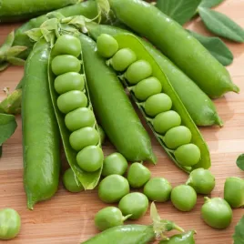 groch-konserwowy-kantata-wczesny-wysokiej-jakosci-nasiona-warzyw