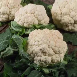 kalafior-beta-bardzo-wczesny-wysokiej-jakosci-nasiona-warzyw