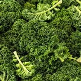 jarmuz-kadet-srednio-pozny-wysoki-zielony-nasiona-warzyw