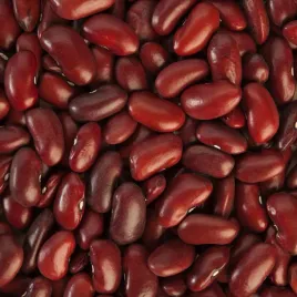 fasola-toska-karlowa-czerwone-wysokiej-jakosci-nasiona-warzyw-fasoli