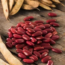 fasola-wawelska-wczesna-wisniowa-wysokiej-jakosci-nasiona-warzyw-fasoli