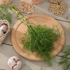 koper-ogrodowy-elefant-odmiana-pozna-wysokiej-jakosci-nasiona-warzyw