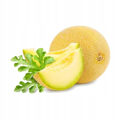 melon-jaune-canari-2-styl-ogrod-japonski-ogrod-nowoczesny-ogrod-skalny-ogrod-srodziemnomorski-ogrod-wiejski