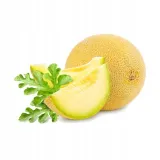 melon-jaune-canari-2-styl-ogrod-japonski-ogrod-nowoczesny-ogrod-skalny-ogrod-srodziemnomorski-ogrod-wiejski