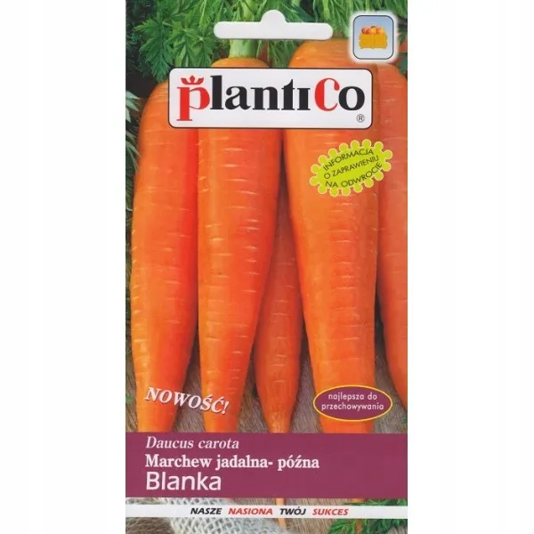 marchew-jadalna-blanka-plantico-styl-ogrod-wiejski