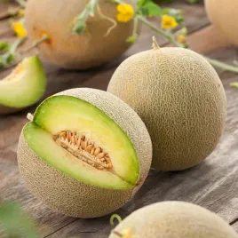 melon-melba-miazsz-pomaranczowy-pyszny-i-soczysty-nasiona