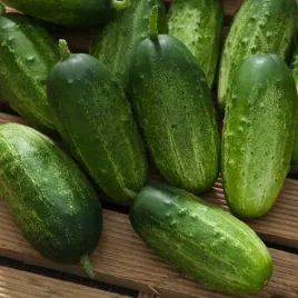ogorek-korniszon-anulka-f1-sredniowczesny-bardzo-smaczny-nasiona-ogorkow