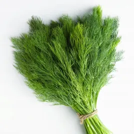 koper-ogrodowy-szmaragd-srednio-pozny-wysokiej-jakosci-nasiona-warzyw