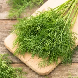 koper-ogrodowy-lukullus-odmiana-wczesna-wysokiej-jakosci-nasiona-warzyw