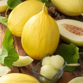 melon-emir-f1-wczesny-bladozolty-bardzo-smaczny-swieze-nasiona