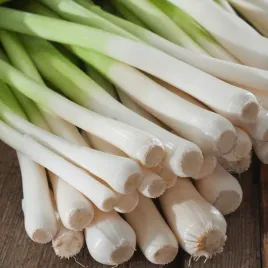 por-starozagorski-kamush-wczesny-dorodny-i-smaczny-nasiona-warzyw