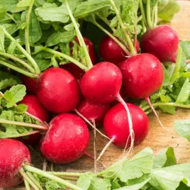 rzodkiewka-kulista-ramona-czerwona-chrupiaca-i-latwa-w-uprawie-nasiona