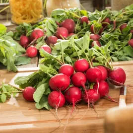 rzodkiewka-kulista-salsa-f1-czerwona-plenna-krucha-i-soczysta-nasiona